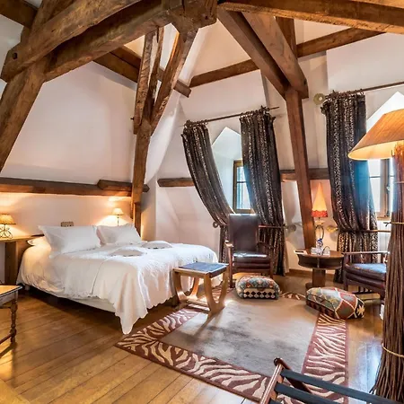 Hotel Chateau De La Tour Du Puits Coise-Saint-Jean-Pied-Gauthier