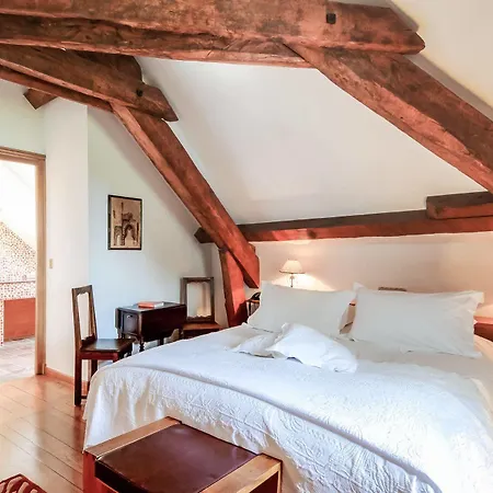 Chateau De La Tour Du Puits Hotel Coise-Saint-Jean-Pied-Gauthier